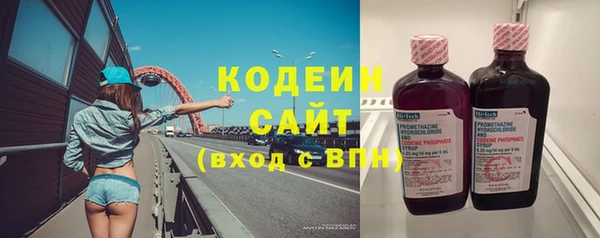 индика Баксан