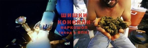 молекула духа Балахна