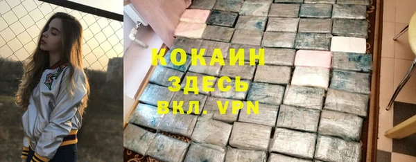 индика Баксан