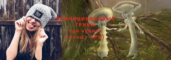 индика Баксан