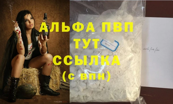 индика Баксан